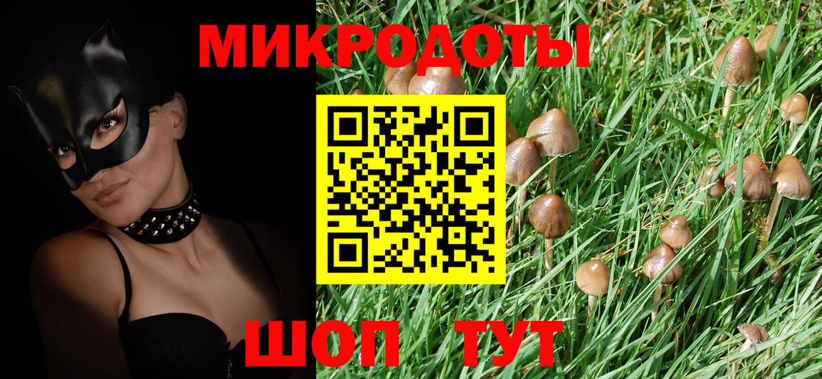 Псилоцибиновые грибы Psilocybe  Вход с VPN  купить наркотики цена  Пушкино 