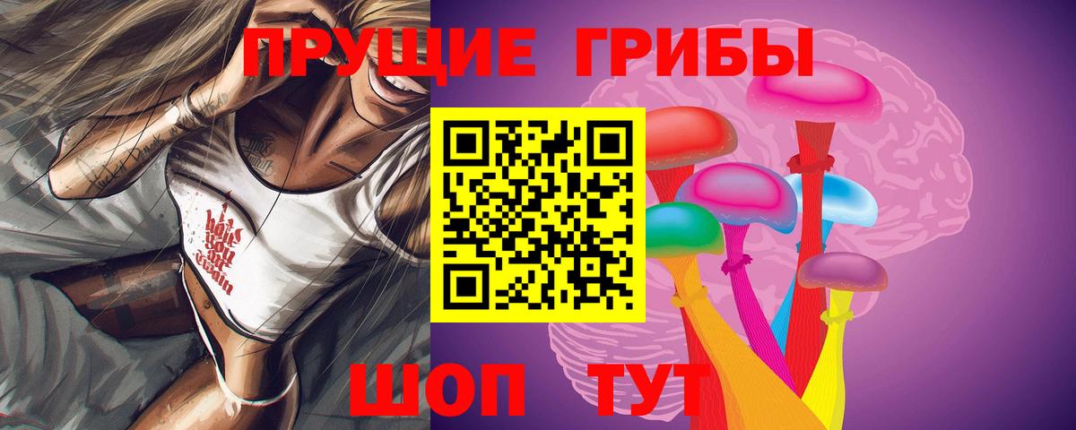 Псилоцибиновые грибы MAGIC MUSHROOMS Пушкино